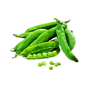 Beans 2